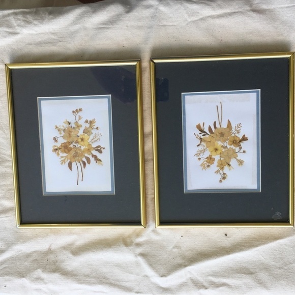 2 Vintage Framed Print Art Matted Pressed Flowers Gold Frames Gallery Wall - Picture 1 of 10